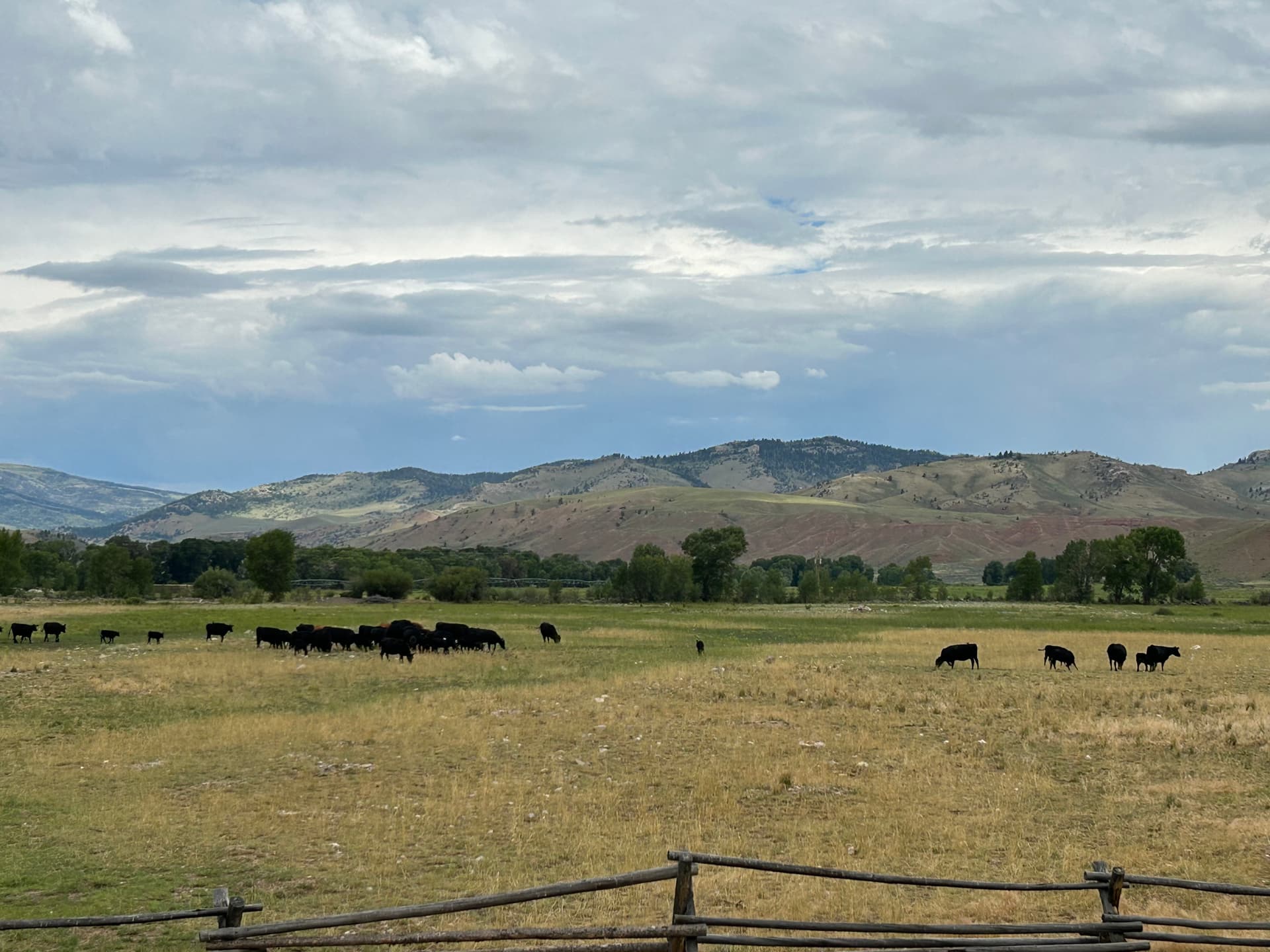 Sustainable Practices